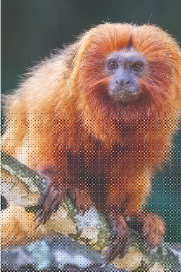 Navegue pelo melhor cenário náutico do Brasil